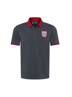 FC Bayern Munchen Polo Shirt - retro grey